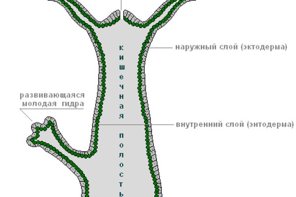 Найти зеркало кракена