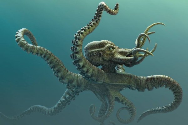 Рабочий сайт kraken